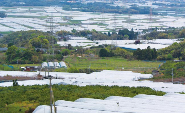 阿蘇が育んだ土壌に立ち並ぶ、甘熟赤メロンのビニールハウス