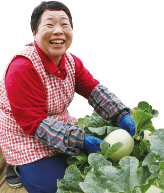 熊本のベテラン農家が育てた甘い美味しさ赤メロン 九州フルーツの通販 まるかじり九州 産地直送 まるかじり九州