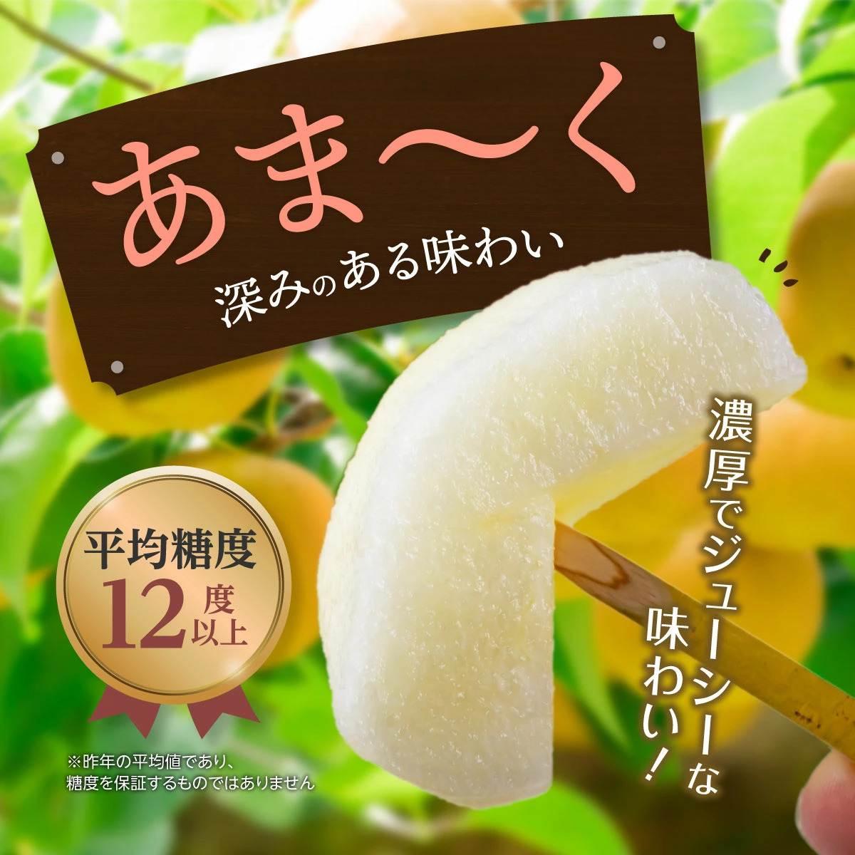 大分県日田地方の梨は、切れば果汁がしたたり落ちるジューシーな逸品！濃厚な甘味と程よい酸味、シャクシャクした食感が美味しい甘梨を、今年も産地直送でお届けいたします。