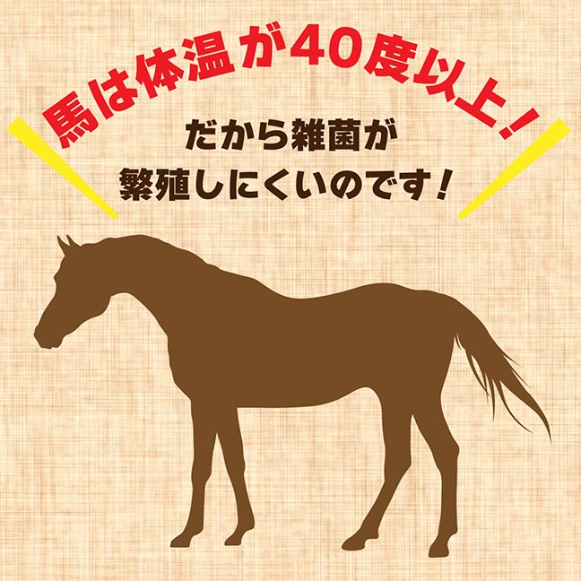 馬刺しは食中毒を防ぐために徹底的に安全・衛生管理されています。