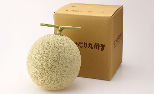 アールスメロンはマスクメロンを代表する品種の一つです。