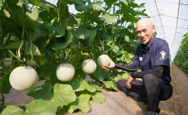 メロン栽培のベテラン熊本県の農家富岡さん