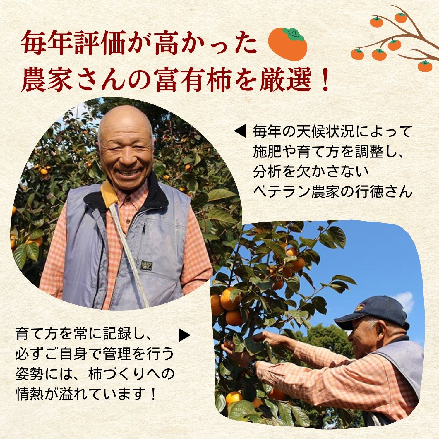 柿農家の行徳さん。美味しい柿の栽培に余念がありません。