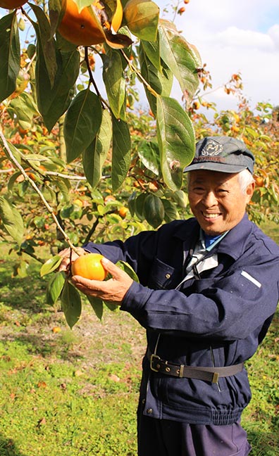 美味しい柿の栽培方法について笑顔で語る横溝さん。まるかじり九州では長年にわたり柿を出荷してくださっています。