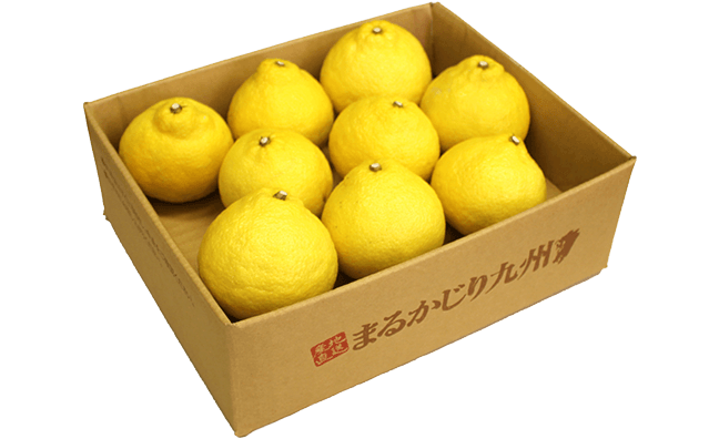 九州の産地から甘くて美味しい柑橘はるかをフルーツ通販でお取り寄せ。