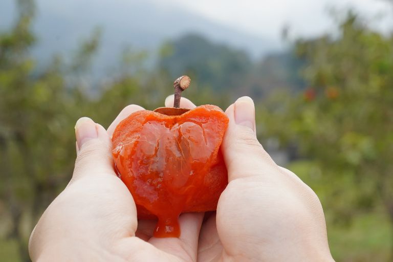 とろっと柔らかな果肉と鮮やかなオレンジ色の見た目の「干し蜜柿」