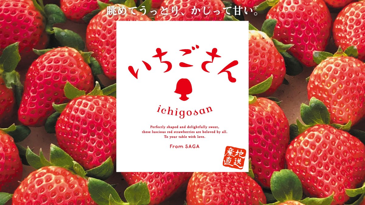 【いちごさん】佐賀県から生まれた大人気のいちご品種を通販でお届けします