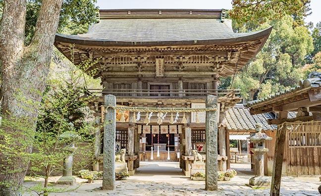 嵐ファンの聖地として有名になった桜井神社や、夏の人気スポット「白糸の滝」など、ドライブの途中で立ち寄りたい場所がたくさん。