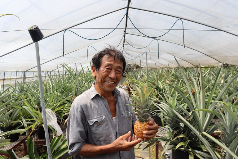 戸馳島のパイナップル農家、藤永さん