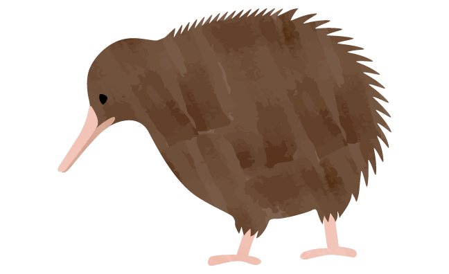 飛べない鳥”として知られるニュージーランドの国鳥「キーウィ」。ずんぐりとした見た目が、とってもキュート！残念ながら、現在は絶滅危惧種に指定されています。