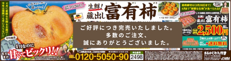 蔵出し富有柿