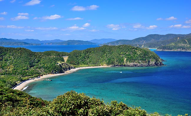 自然豊かで温暖な気候の奄美大島。年間を通して温暖なこの気候だからこそ、美味しい島マンゴーが出来ました。写真は加計呂麻島の海。