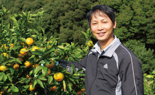 みかん農家 野田さん