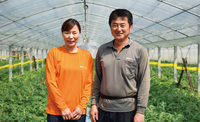 すいか農家の前田さんご夫婦