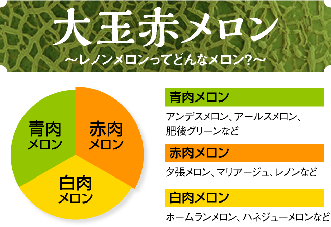 大玉赤メロン「レノンメロン」ってどんなメロン?赤肉メロン、青肉メロン、白肉メロンの違いを大公開。あなたの好みの舐瓜(めろん)を選びましょう。
