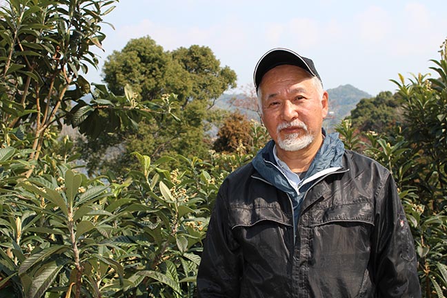 農家の峰さんは「完熟大玉びわ」のベテラン農家。栽培のポイントを丁寧に教えてくれます。