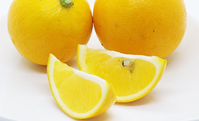 安心して食べられる美味しいレモンを届けたいという想いが詰まった有機レモン。