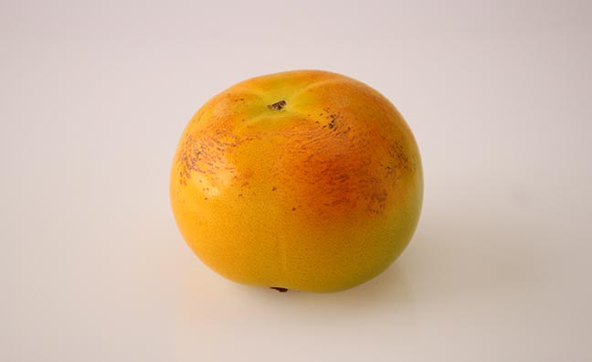 マンダリンオレンジをルーツにもつ柑橘類の品種・クレメントは栄養分もマンダリンに似ています。