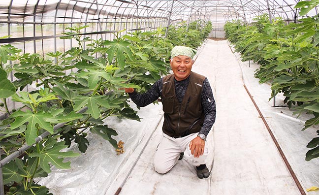 博多とよみつひめを長年栽培している専門農家、内田さん。栽培から施肥、摘果、収穫まで様々な工夫を凝らし、
一粒一粒、大事に育て上げています。