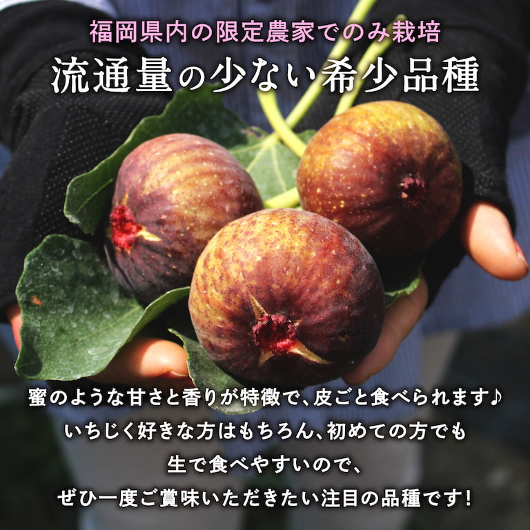 プレミアムいちじく「博多とよみつひめ」は福岡県のオリジナルブランド。