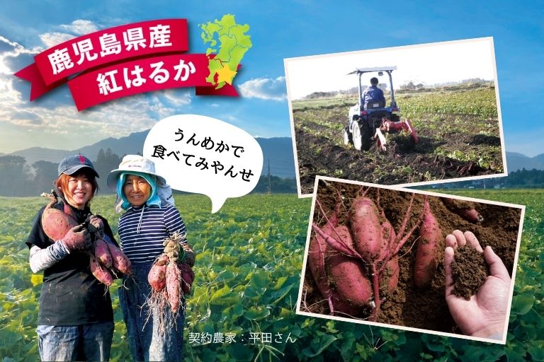 こだわり製法・鹿児島県産の焼き蜜いも