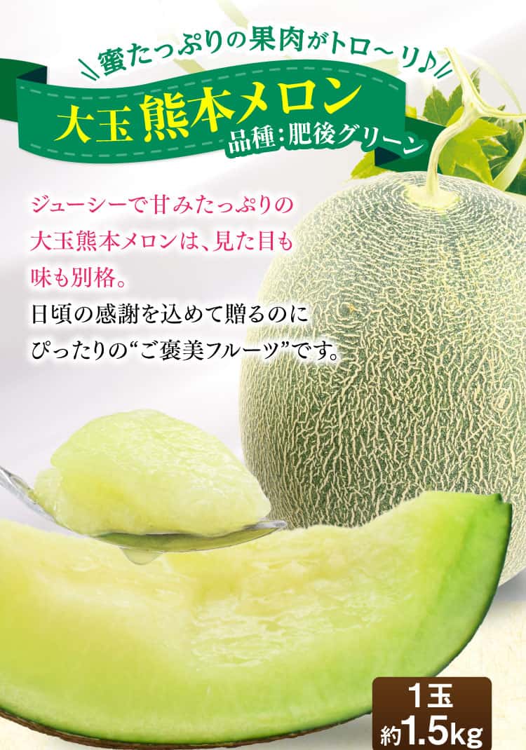 蜜たっぷりの果肉がトロ〜リ大玉熊本メロン