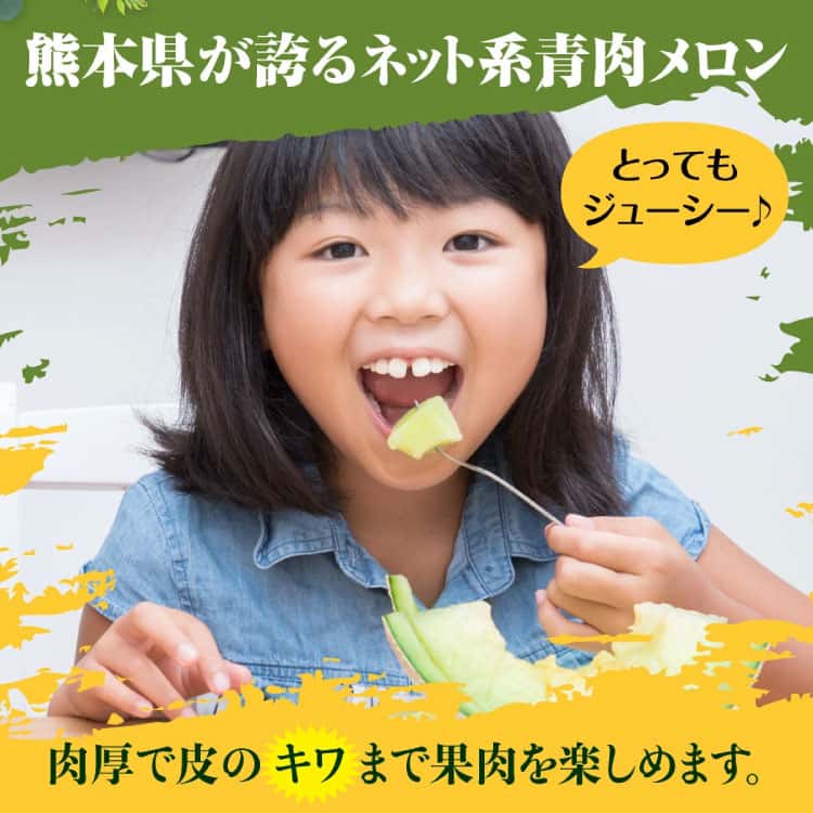 熊本県が誇るネット系青肉メロン