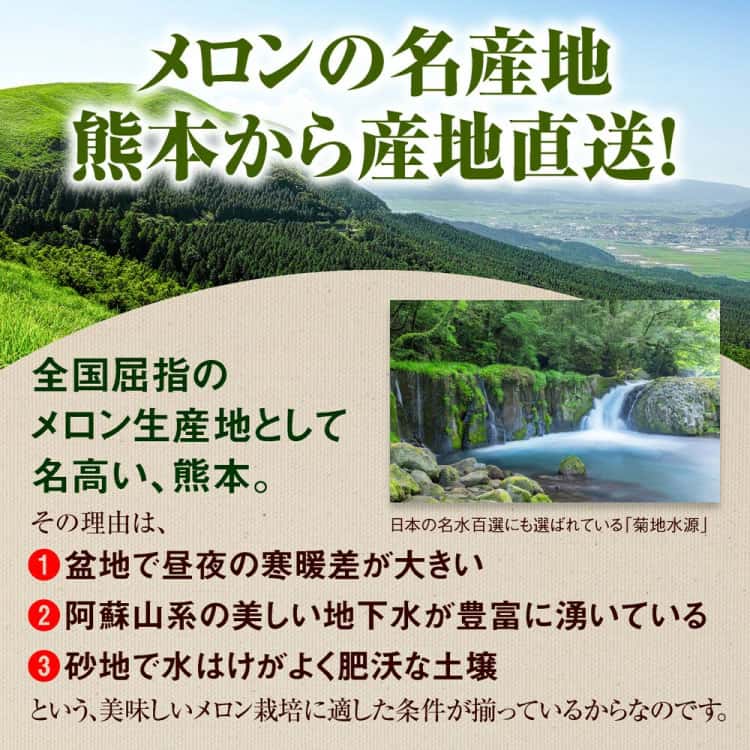 メロンの名産地熊本から産地直送！