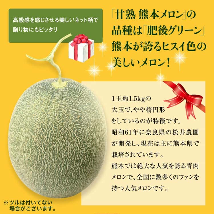 熊本メロンの品種は肥後グリーン