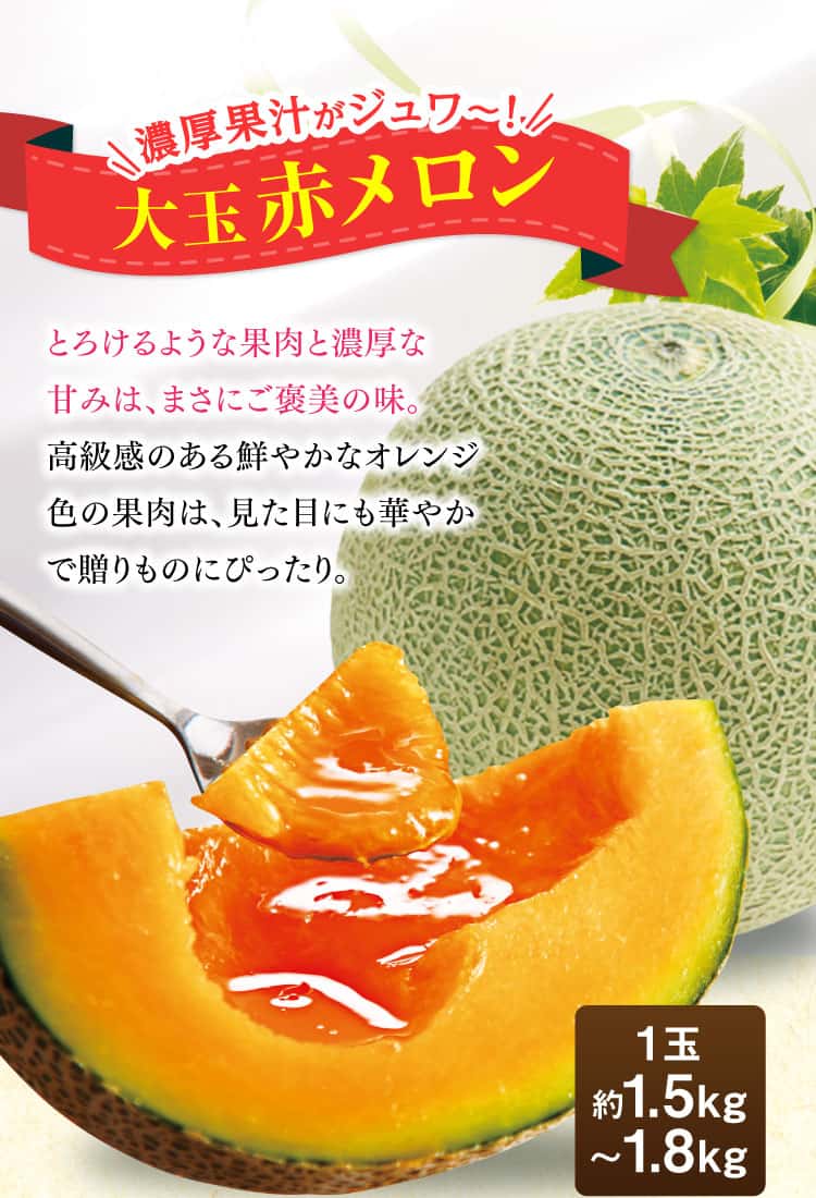 濃厚果汁がジュワ〜！大玉赤メロン