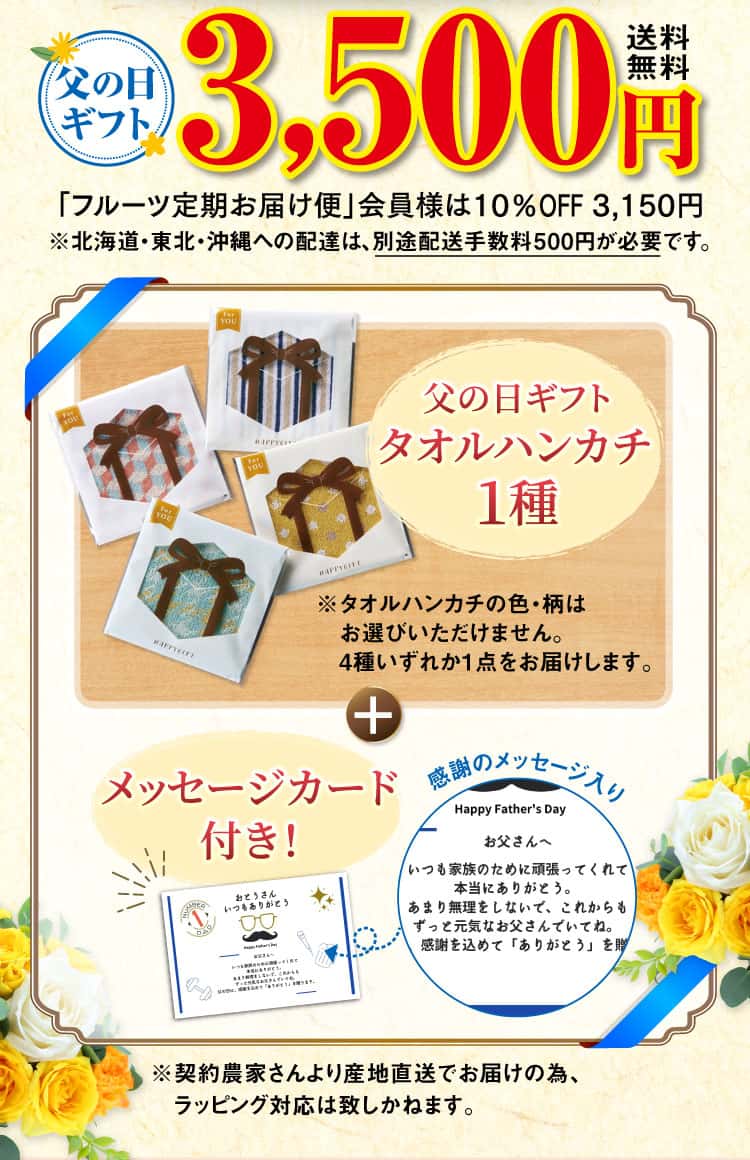 赤メロン、タオルハンカチ・メッセージカード付き