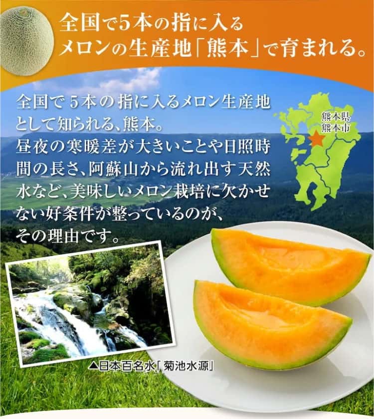 赤メロンはメロンの生産地熊本で育てられる