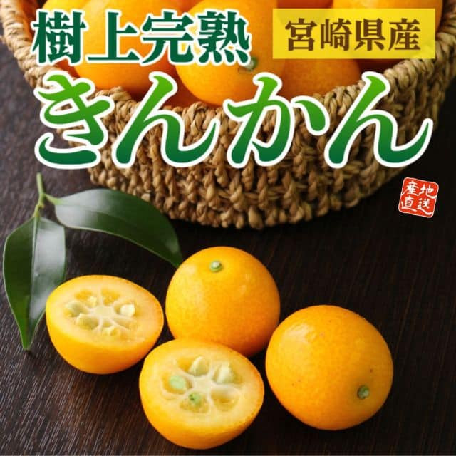 宮崎県産「樹上完熟 きんかん」(約1kg)