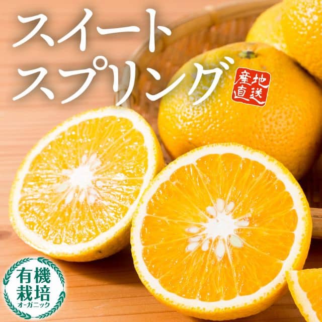 佐賀県産「完熟 スイートスプリング」(約2kg)