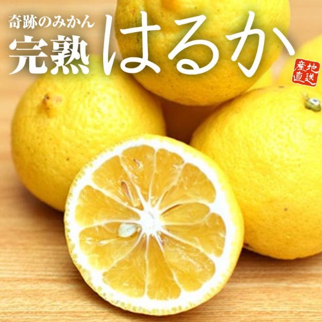 佐賀県産「完熟 はるか」(約2kg)