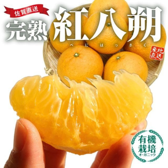 佐賀県産「完熟 紅八朔」(約2kg)