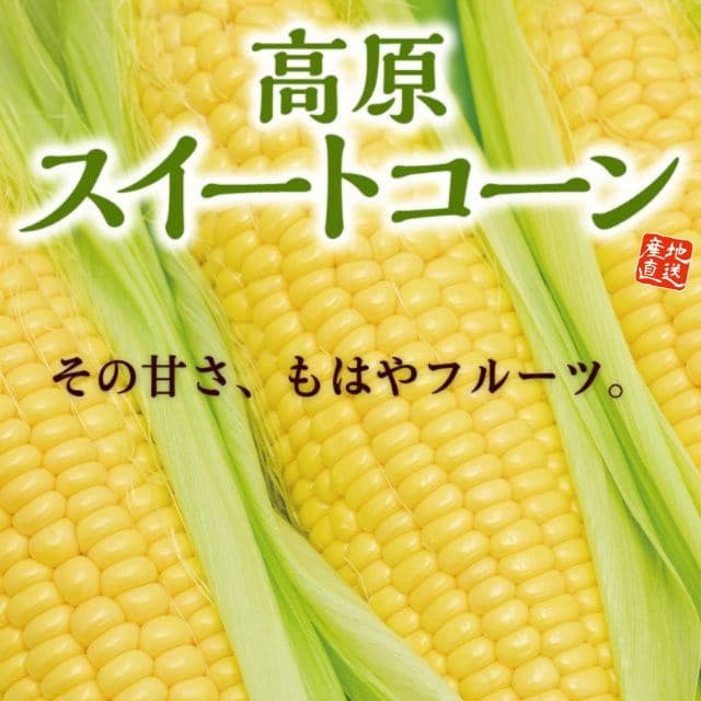 大分県産「高原スイートコーン」(約2kg)