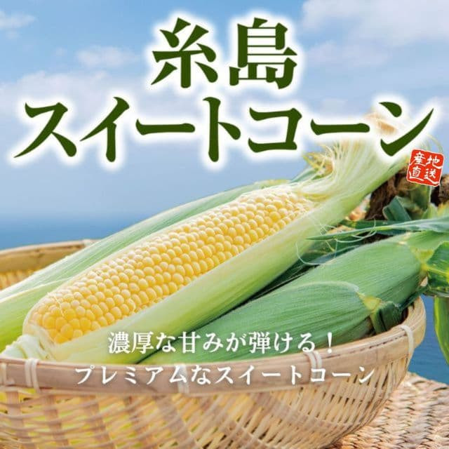 福岡県産「糸島スイートコーン」(約2kg)