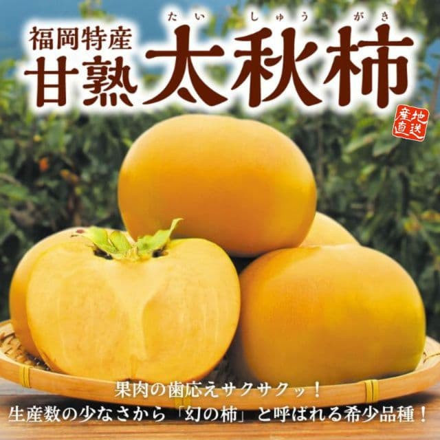 福岡県産「甘熟太秋柿」(約2kg)