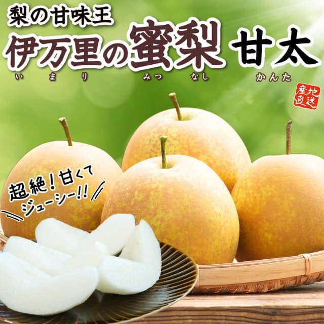 佐賀県産「伊万里の蜜梨」甘太(約2㎏)