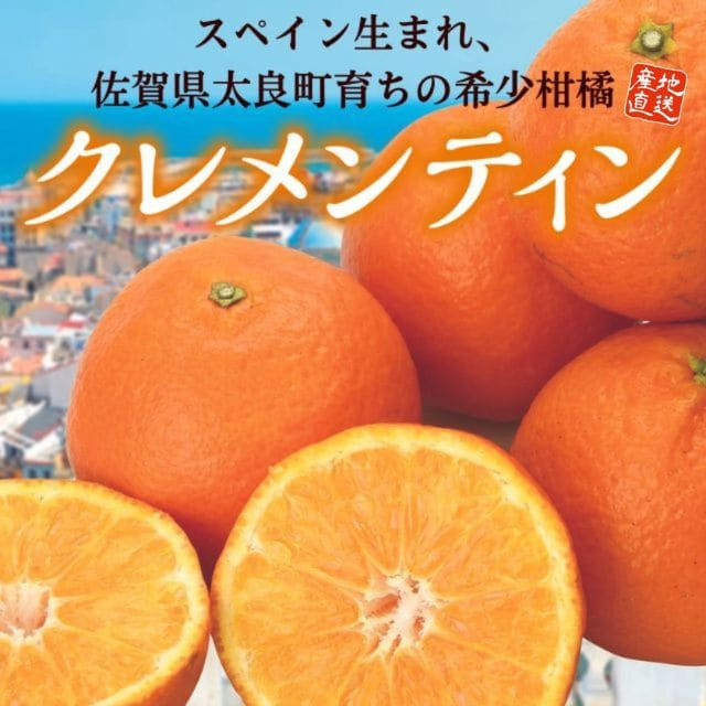 佐賀県産「クレメンティン」(約2kg)
