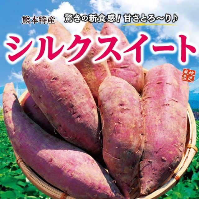 熊本特産 「シルクスイート」(約2kg)