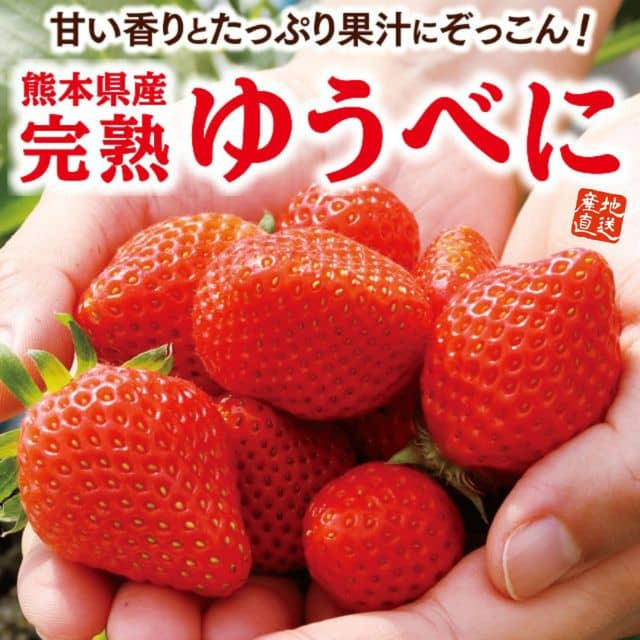熊本県産「完熟ゆうべに」 1箱(約350g)