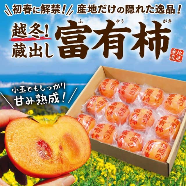 福岡県産「蔵出し 富有柿」(Sサイズ約2kg)