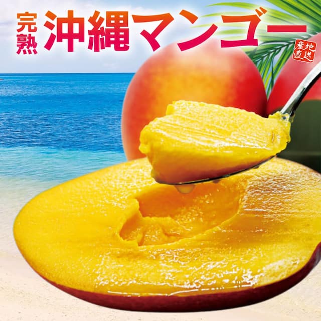 沖縄県産「完熟 沖縄マンゴー」(約1kg)
