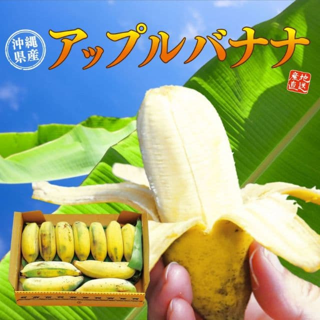 沖縄県産「アップルバナナ」(約1kg)