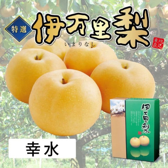 佐賀県産 特選「伊万里梨」(幸水)(約2.5kg)