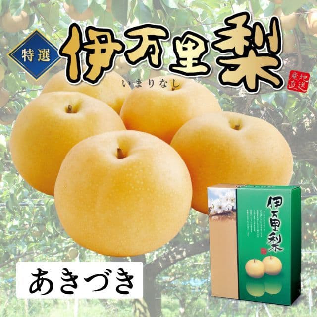 佐賀県産 特選「伊万里梨」(あきづき)(約2.5kg)