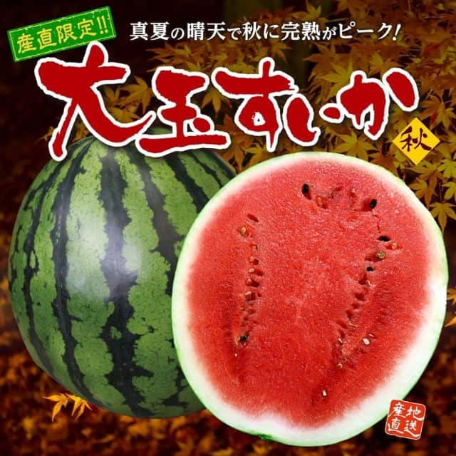 熊本名産「大玉すいか」秋(1玉:7~8kg・2Lサイズ)