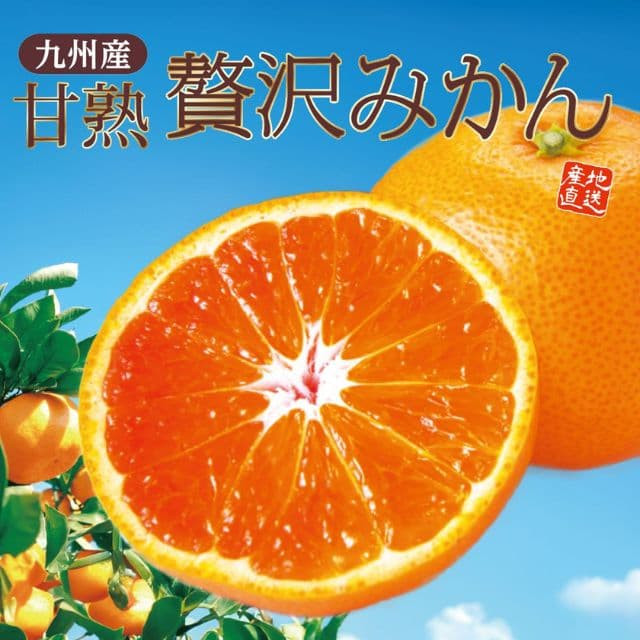 九州産「甘熟贅沢みかん」(約2kg)